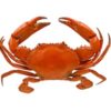 Crabe entier du Nigeria (1kg)