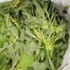 Folon frais la botte de 1kg